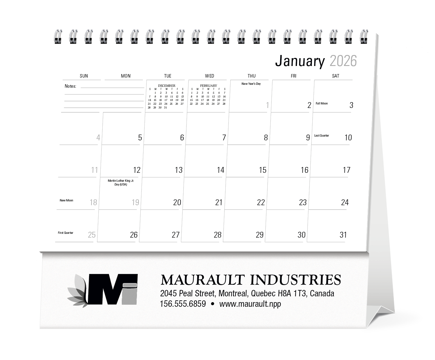 Triumph® Calendars Large Econo Desk Calendar 25