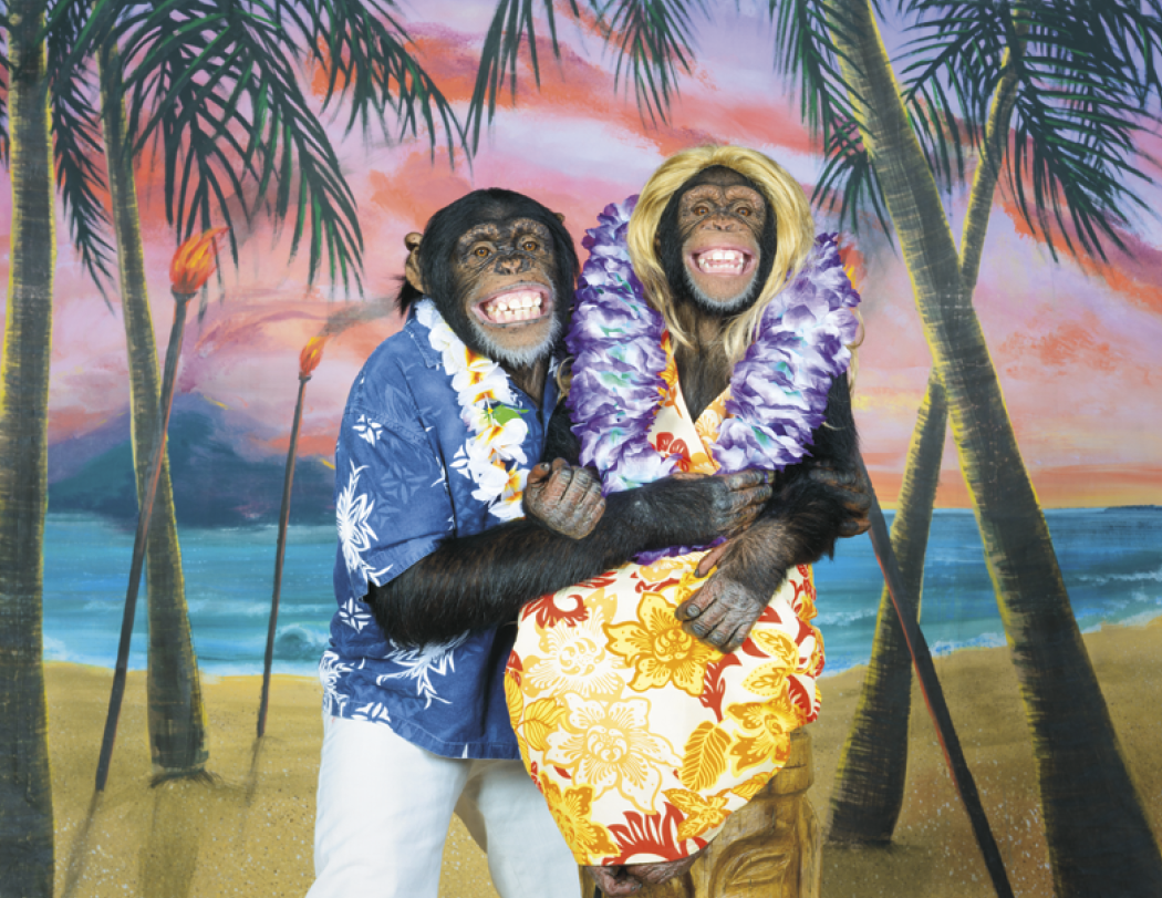 Good Value™ Monkey Mischief - Stapled Calendar 61