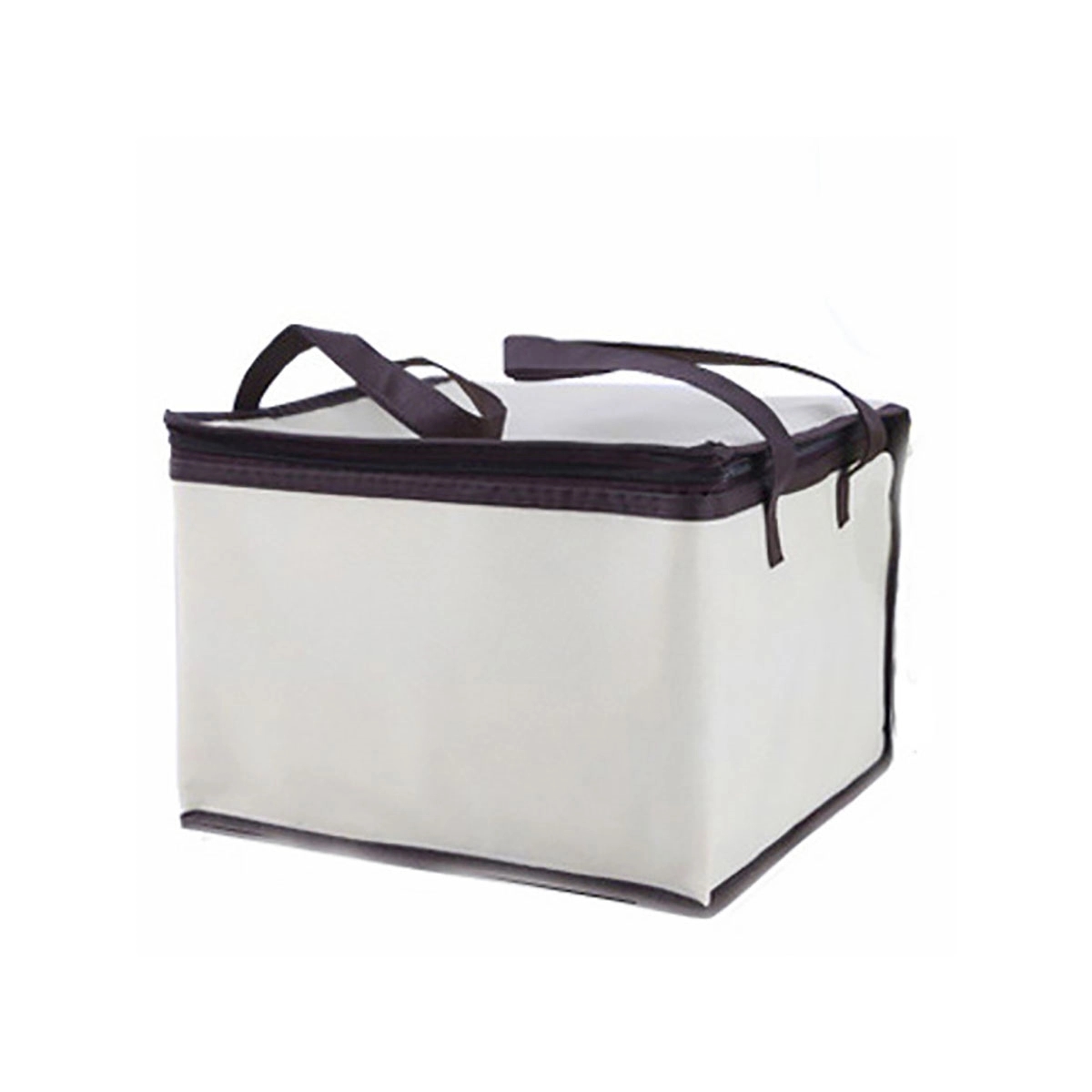 Food Delivery Canvas Cooler Bag 2