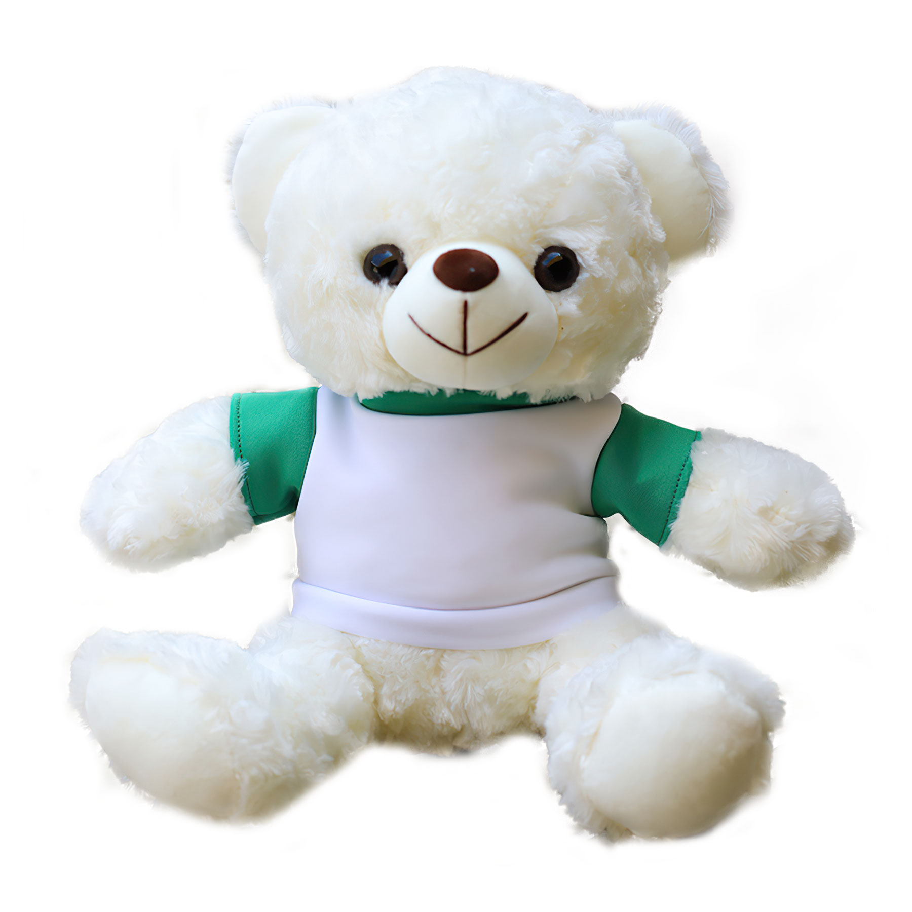11'' Seated Style Stuffed Plush Teddy Beat With T-shirt 13