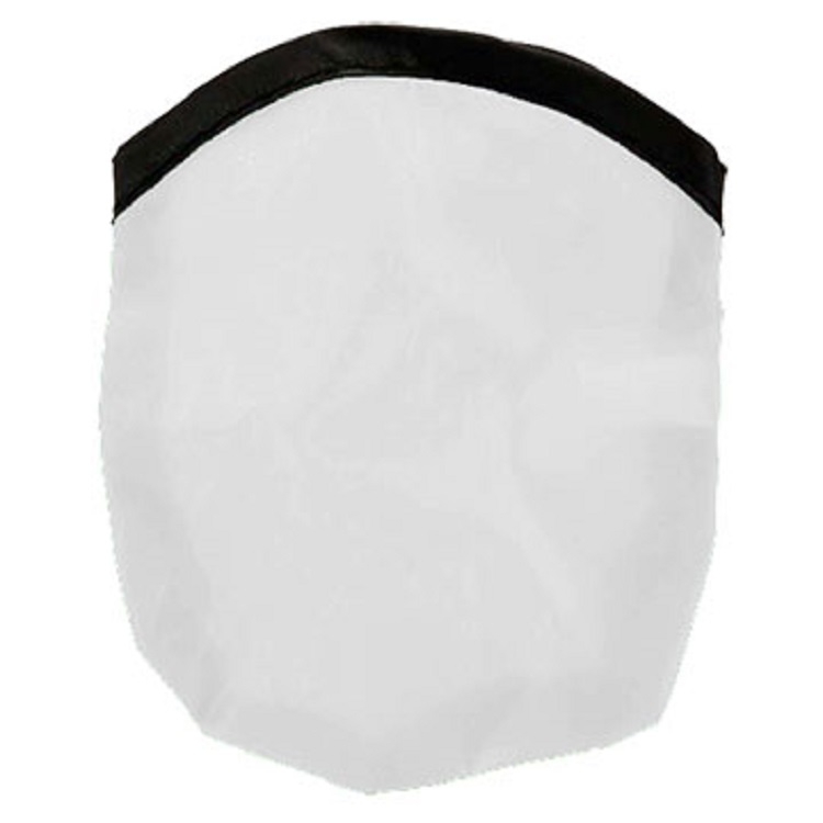 10" Flexible Flyer Disc 13