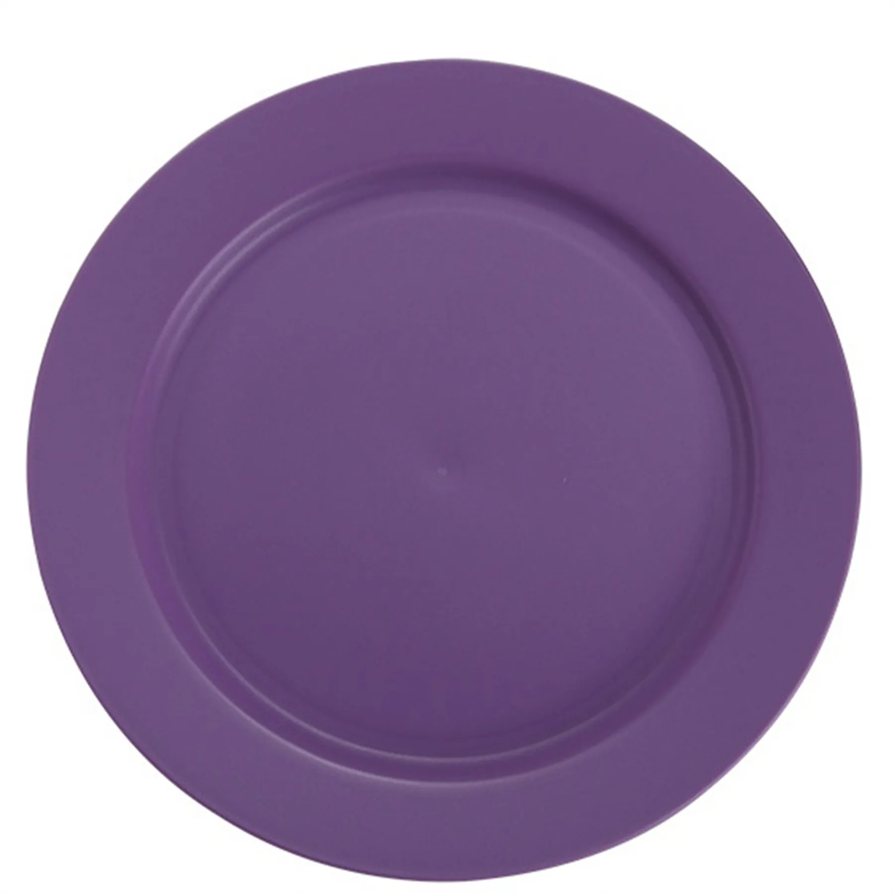 Plastic Plate 9.8 Inch 11