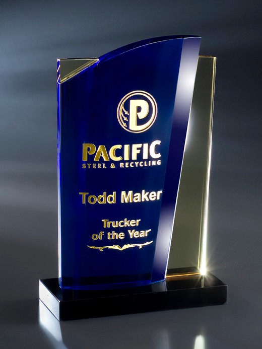 Artistic Expressions Crystal Malibu Award 2