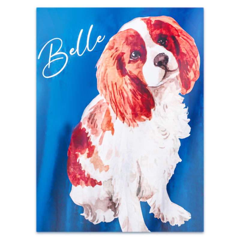 Custom Plush Sherpa Photo Blanket 19