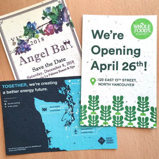 Single-Sided Medium Seed Paper Panel Cards 5