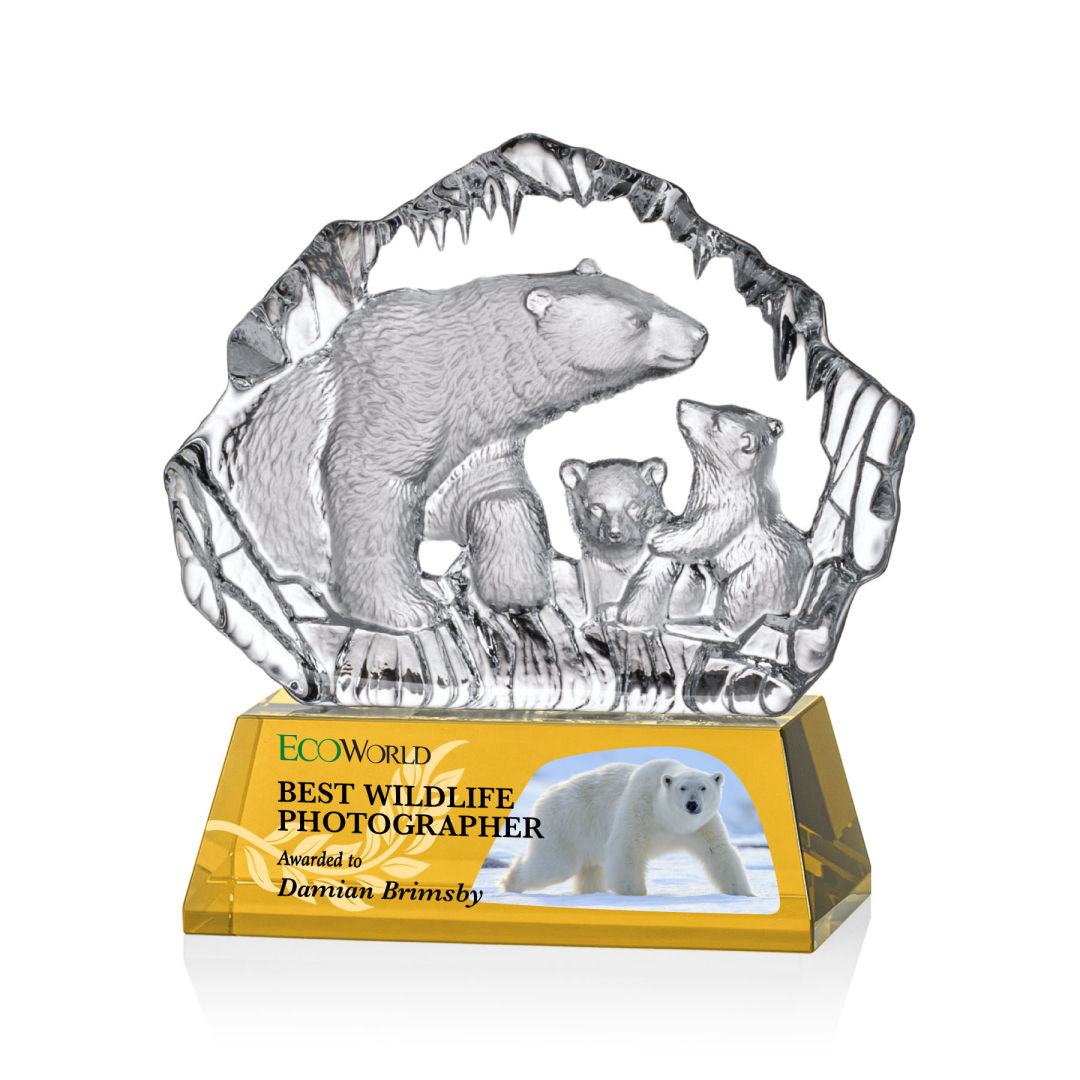 Ottavia Polar Bears VividPrint™ Award 10