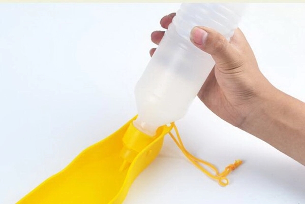 Portable Pet water dispenser 4