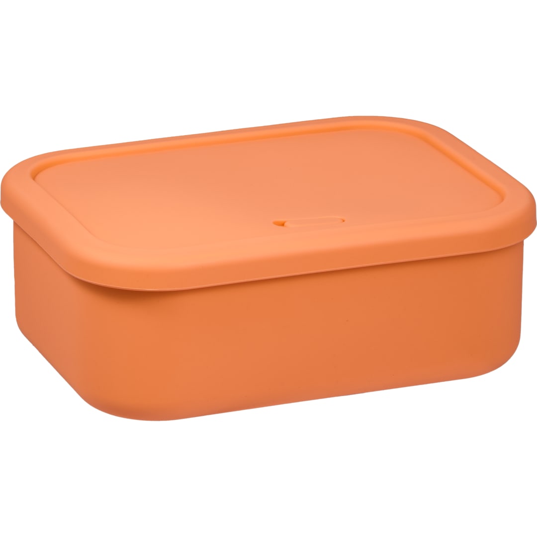 Silicone Food Storage Box with Air Valve 44oz 122