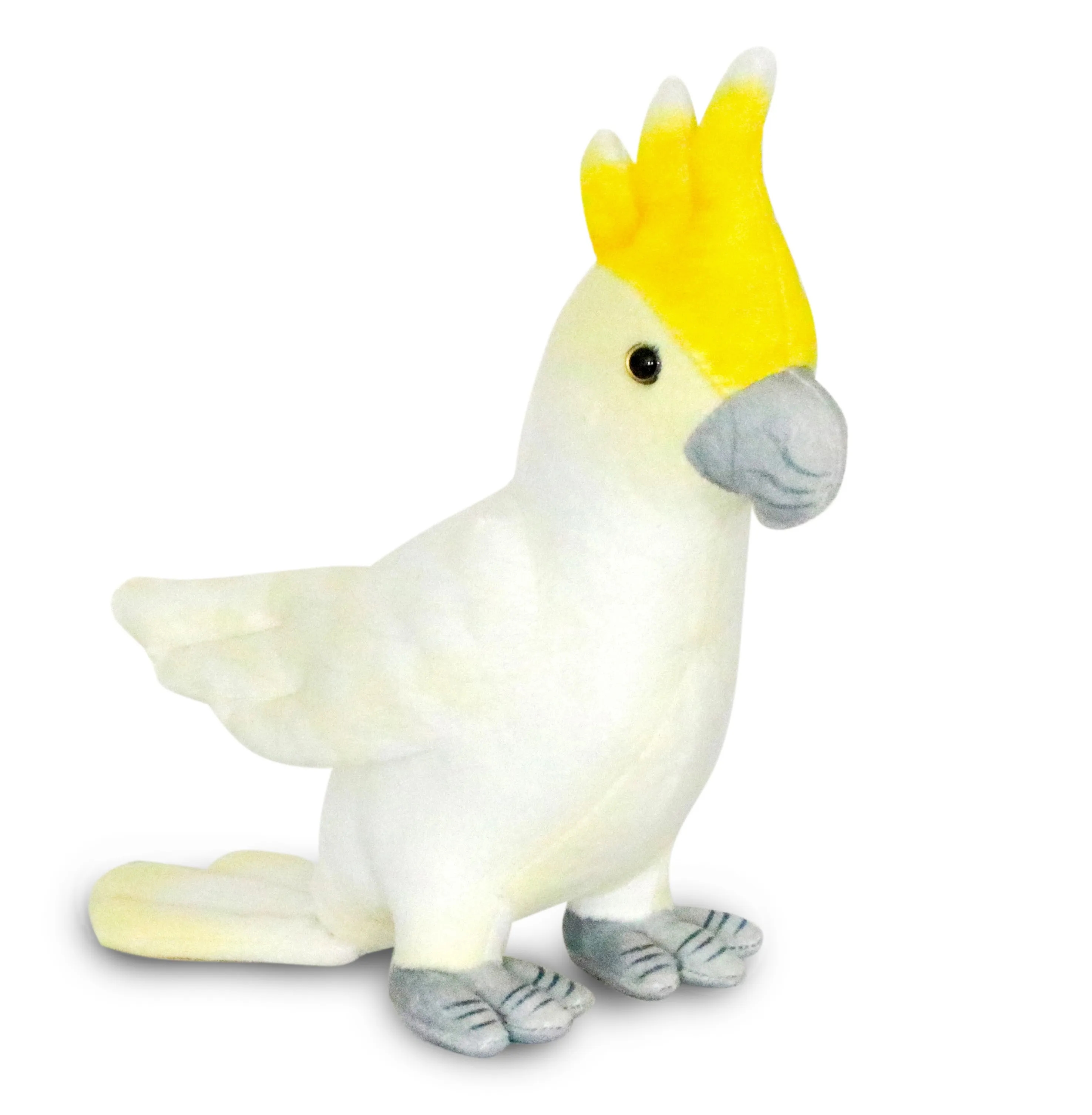 White Parakeet 2