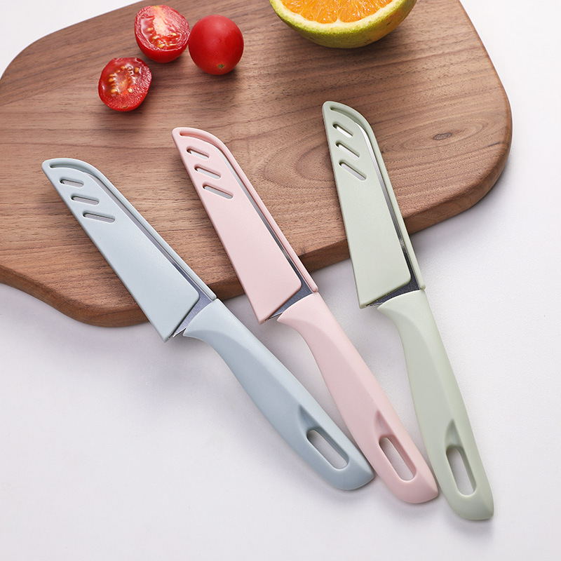 Stainless Steel Fruit Knife 3