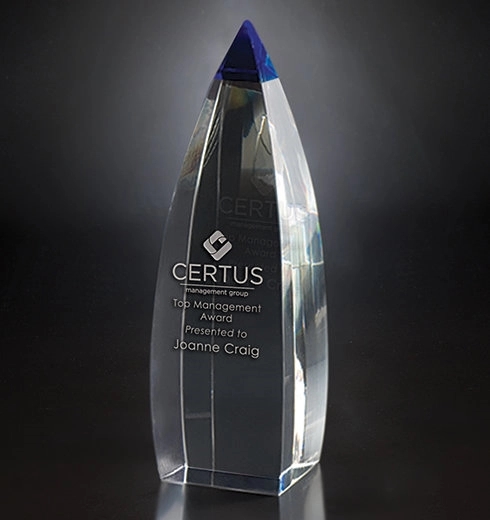 Vetri Award 3
