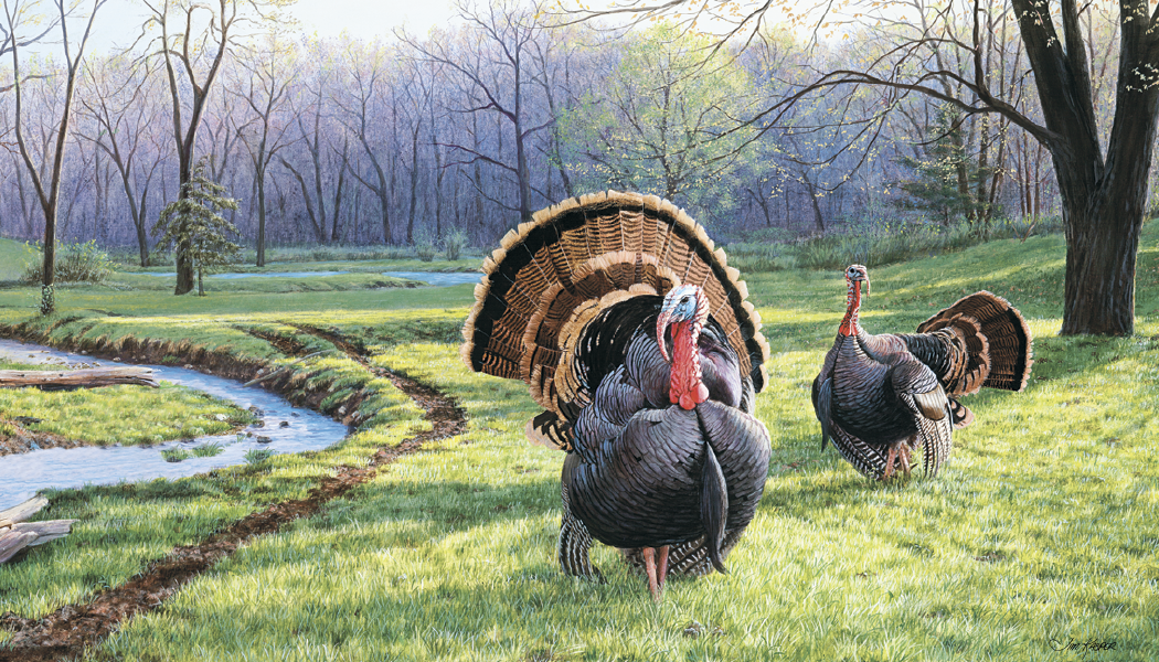 Triumph® Calendars Wildlife Art Calendar 9