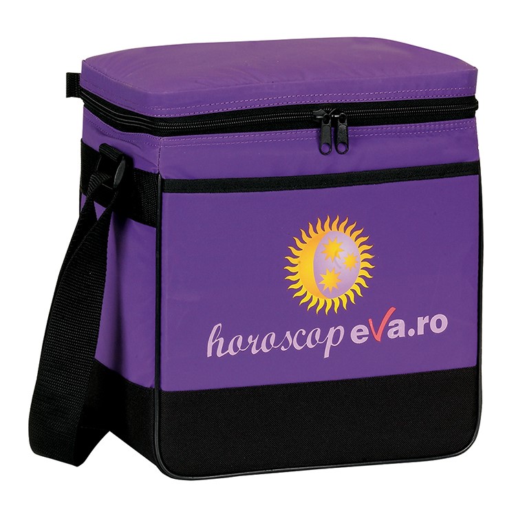 Insulated 12 Pack Cooler 7
