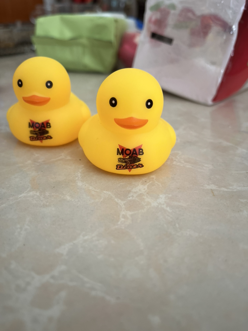 Ducks Toy 2