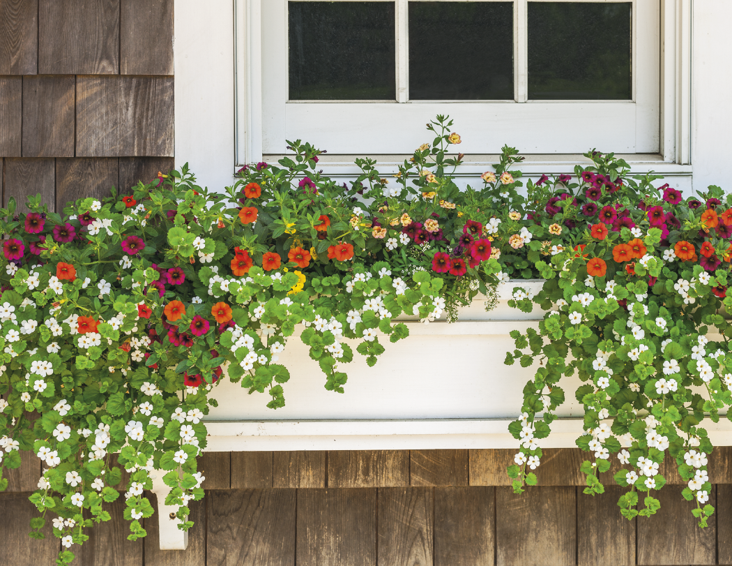 HotLine® Products Gardens Appointment Calendar - Stapled 37