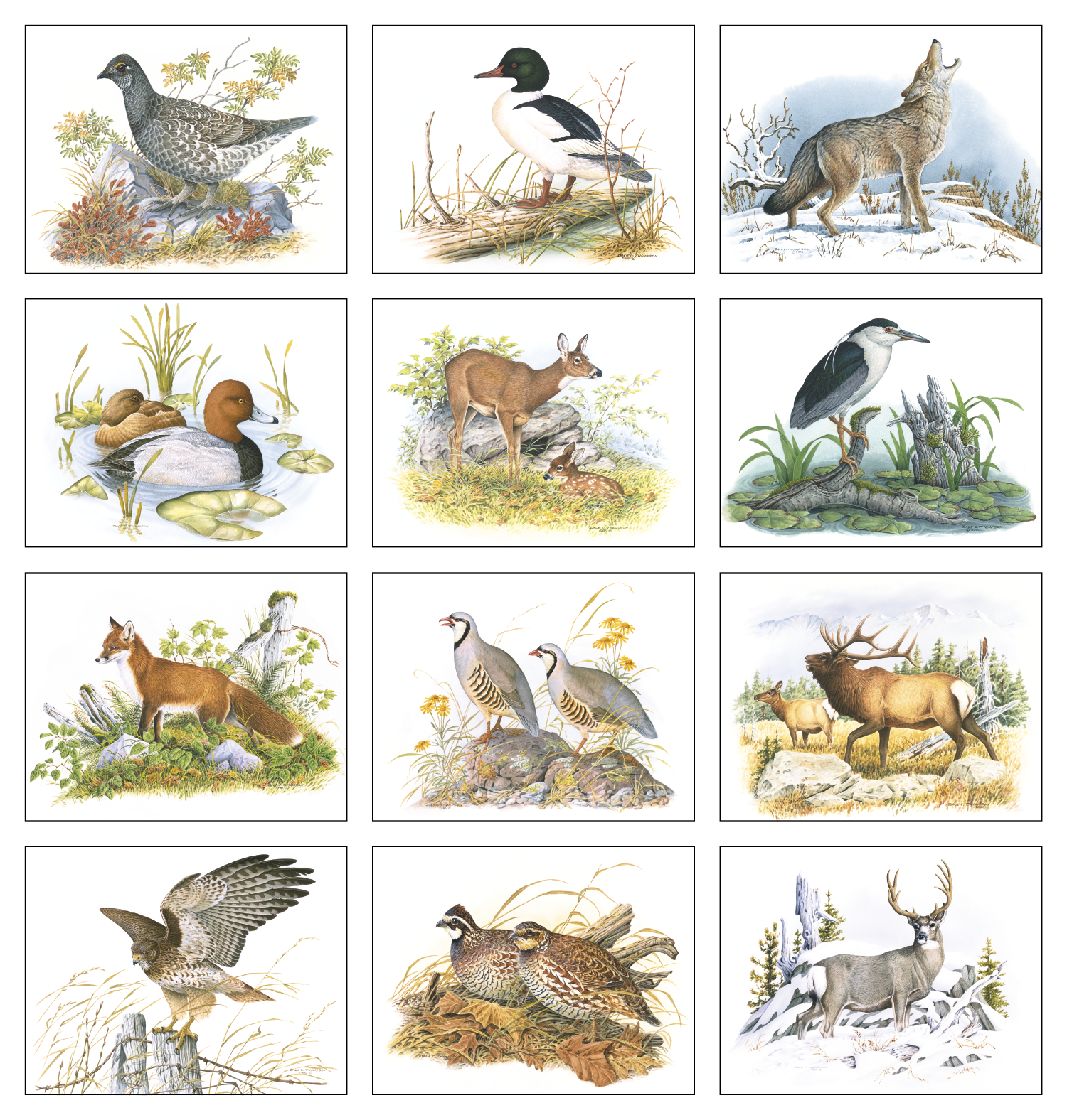 Good Value™ Wildlife Trek - Stapled Calendar 8