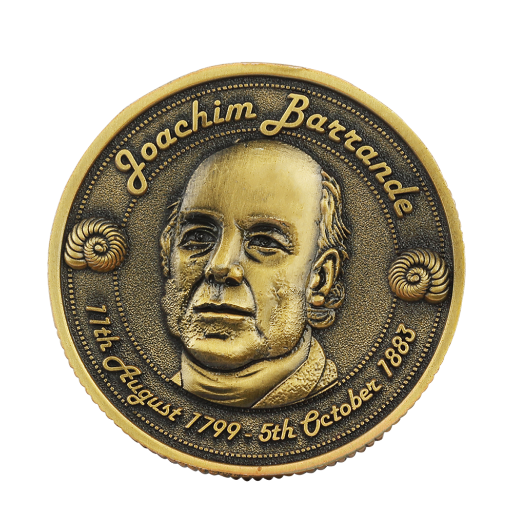 Zinc Alloy Made Plating Coins 1