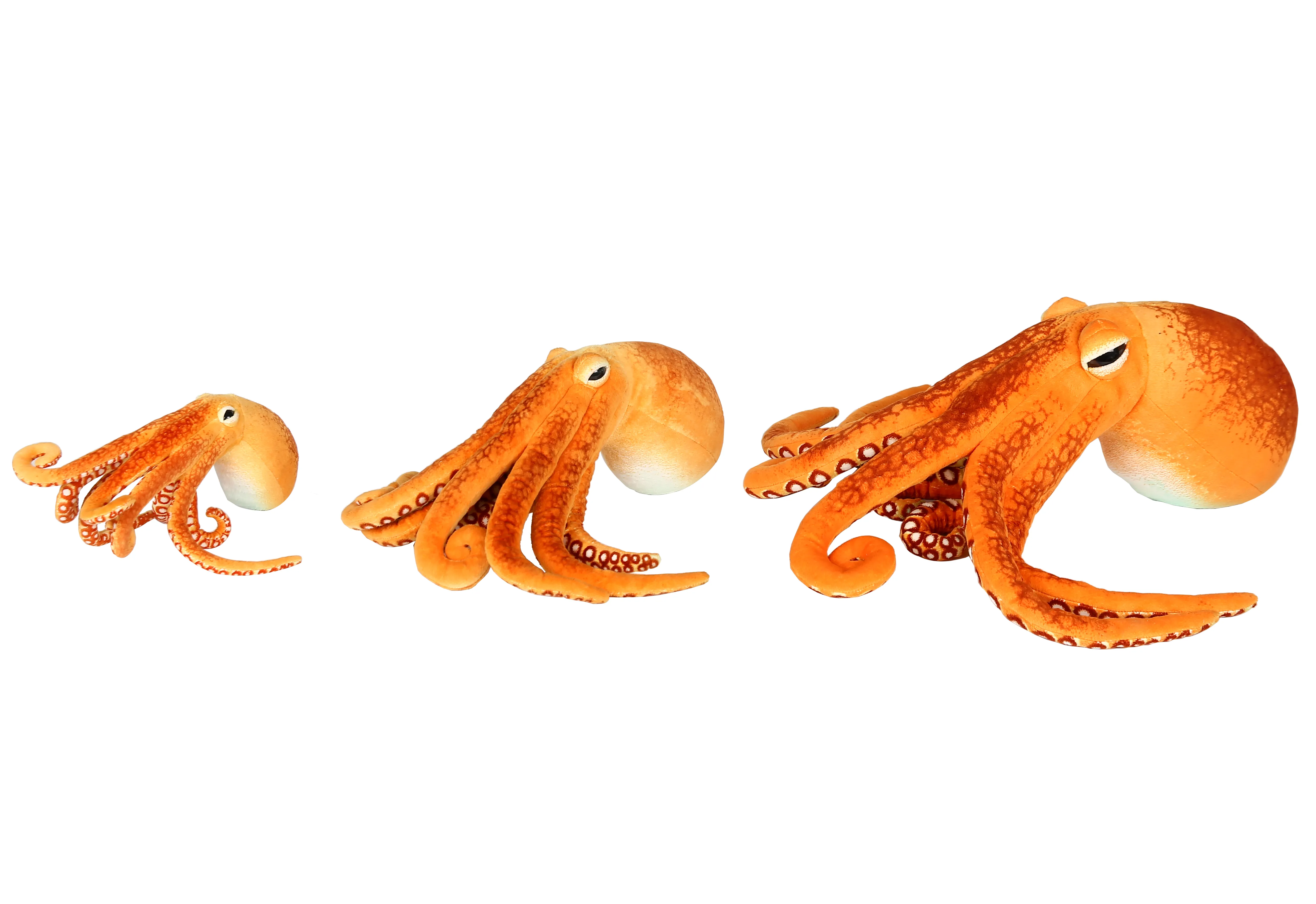 Orange Octopus 3 sizes 2
