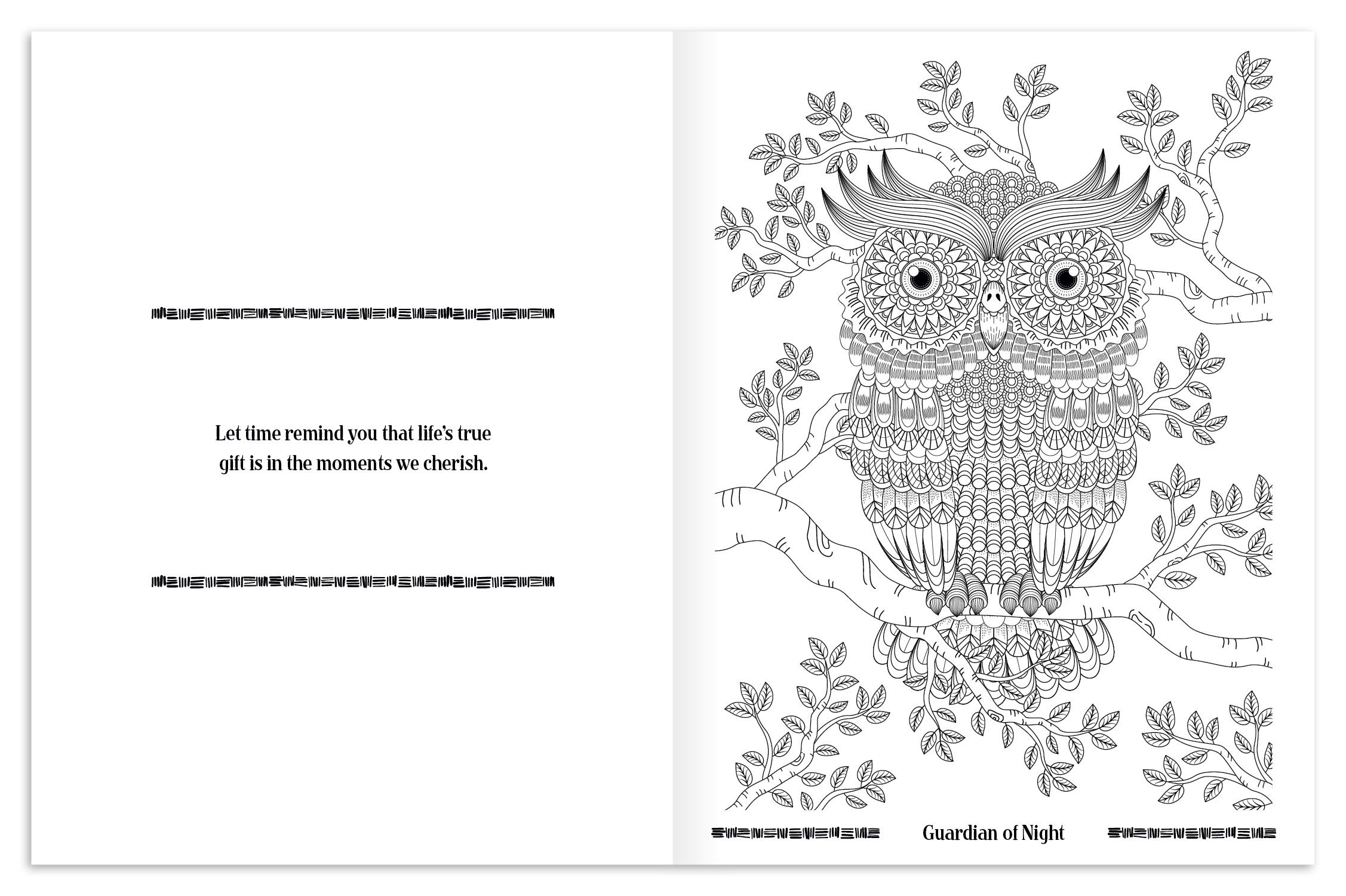 Good Value™ Wild Wonders Adult Coloring Book 20