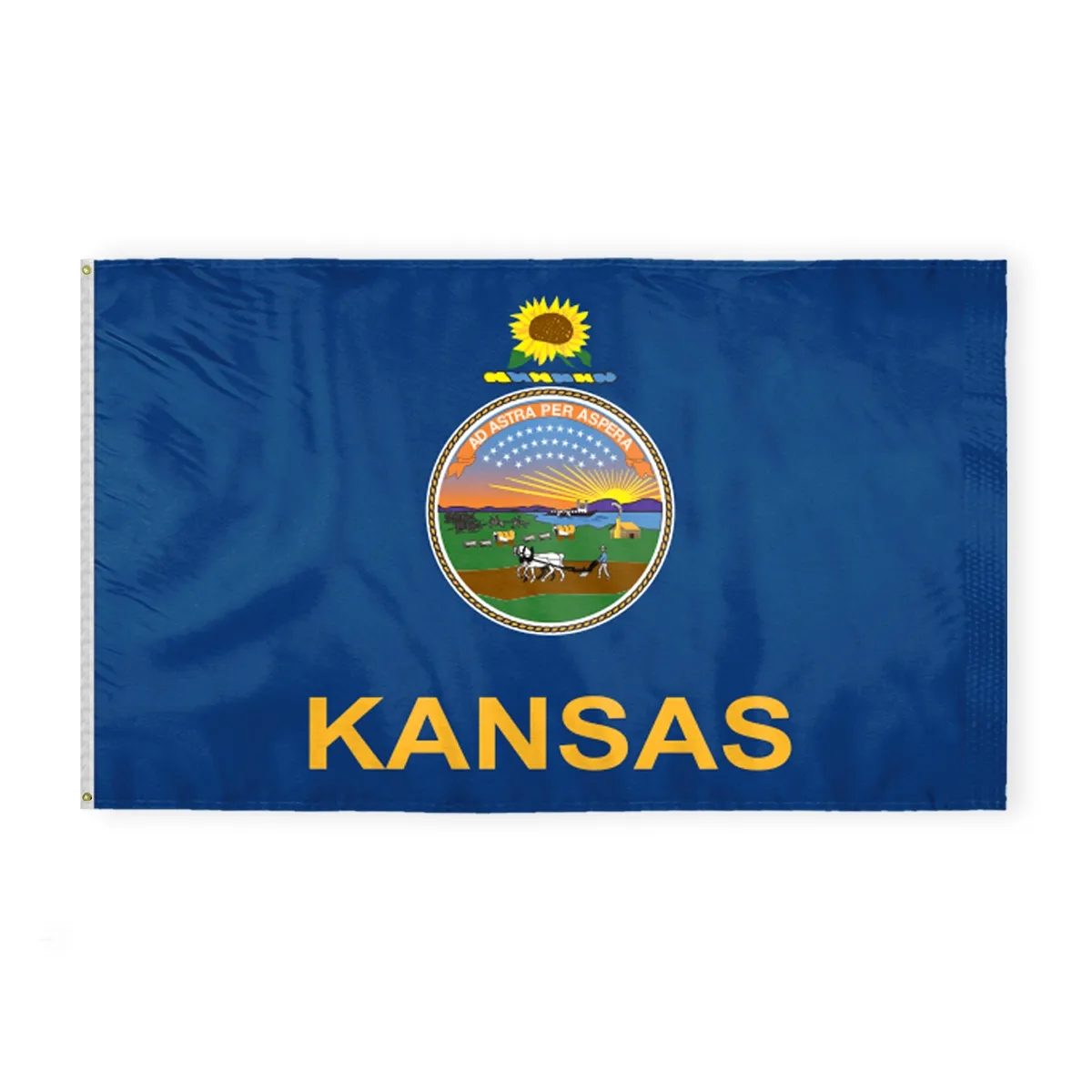 12"x18" to 8'x12' Kansas Nylon Flags 6