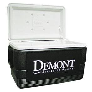 Igloo 48 Quart Ice Chest 2