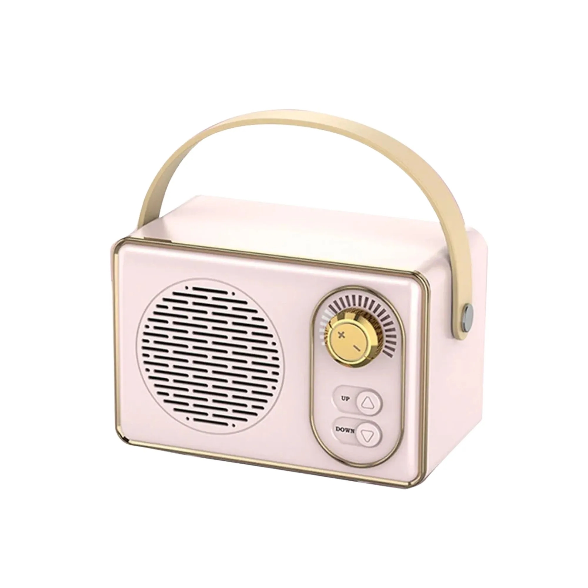 Vintage Record Speaker 2