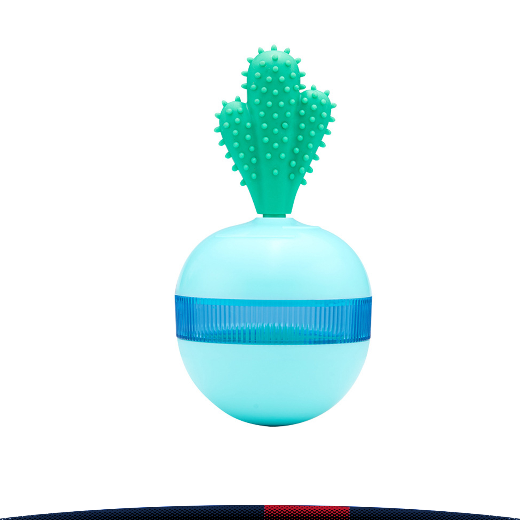 Cactus Tumbler 3
