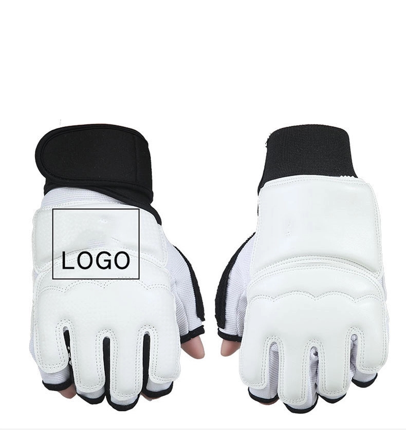 Taekwondo Gloves 2