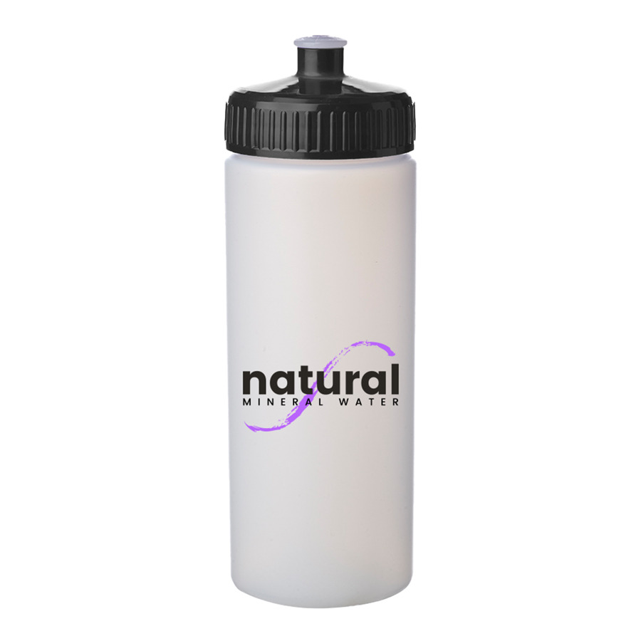 20 oz. Frosted Plastic Water Bottles