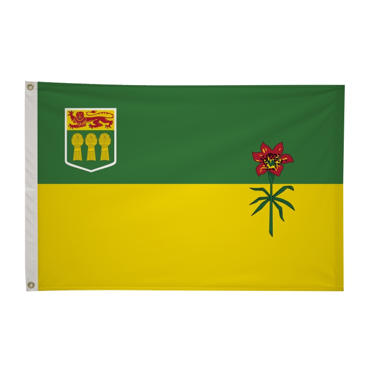 2' x 3'International Flag 317