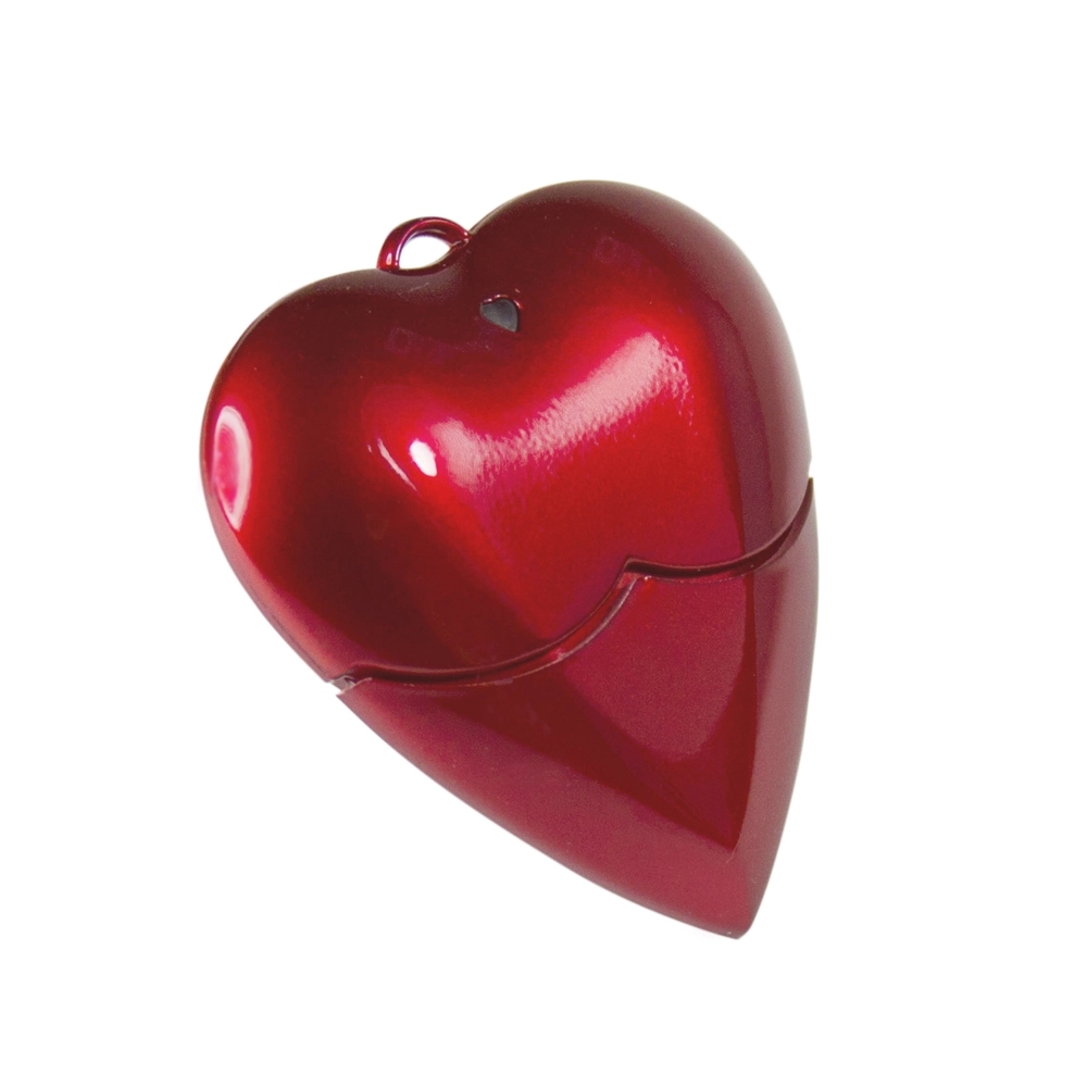 Heart USB Flash Drive 2.0 6