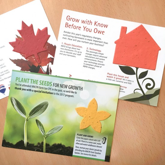 Single-Sided Large Eco Panel Card With Shape 3