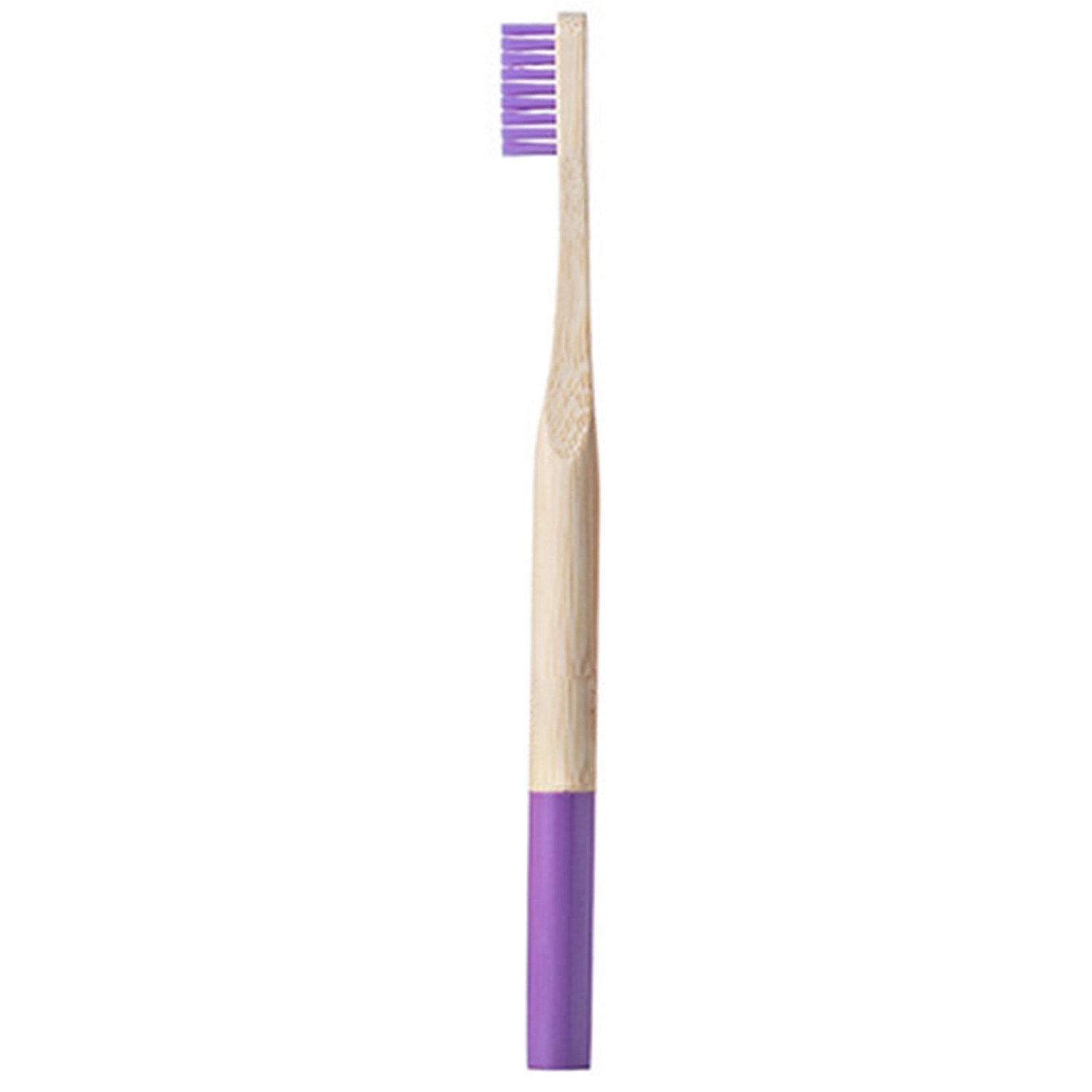 Round Toothbrushes 13
