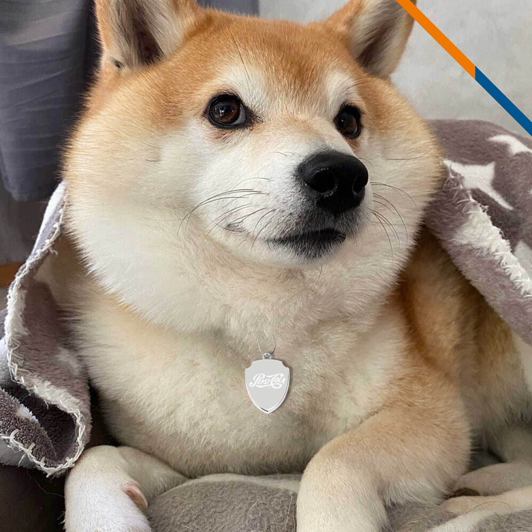 Miloo Dog Tag 8
