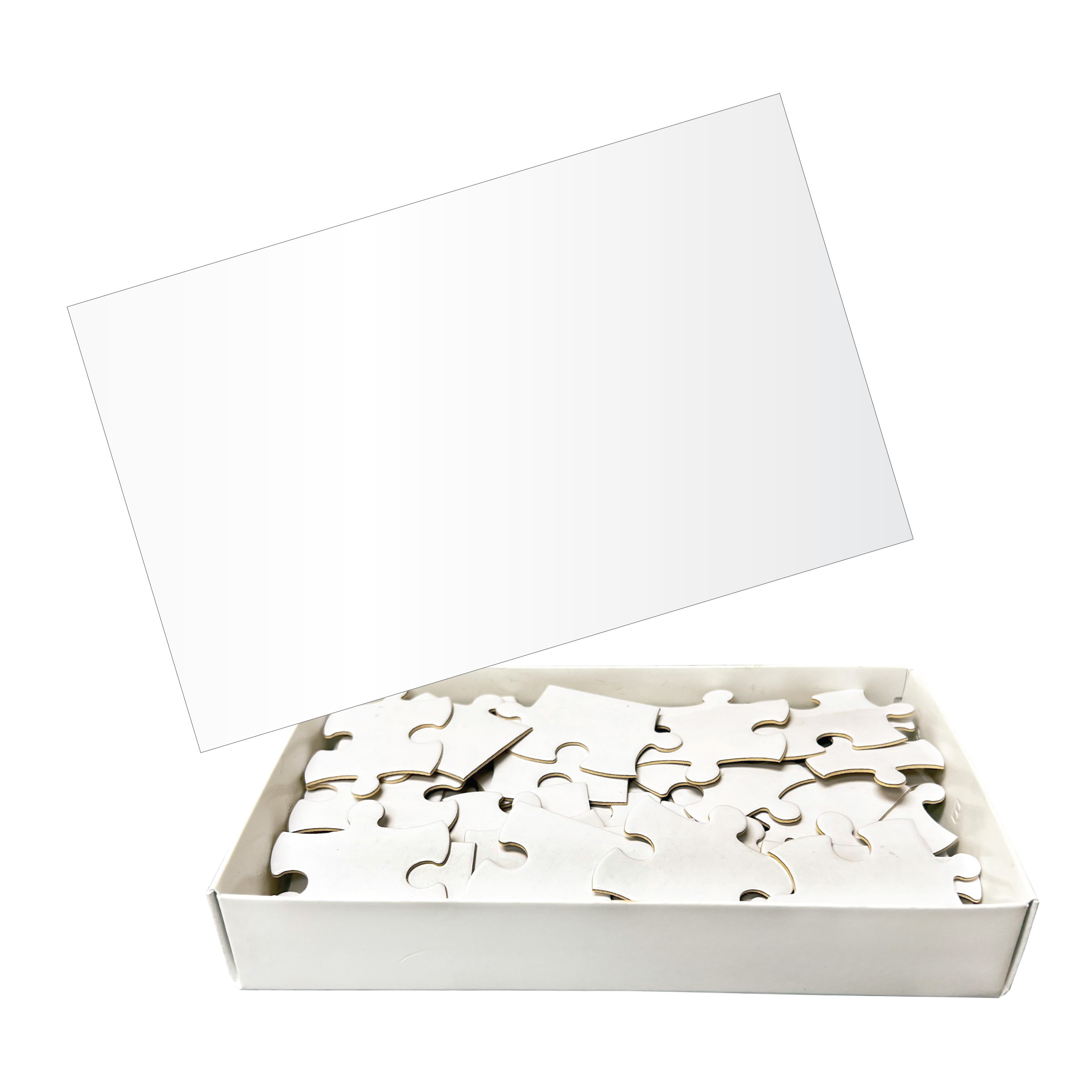40 Pc. Full Color Jigsaw Puzzle 2