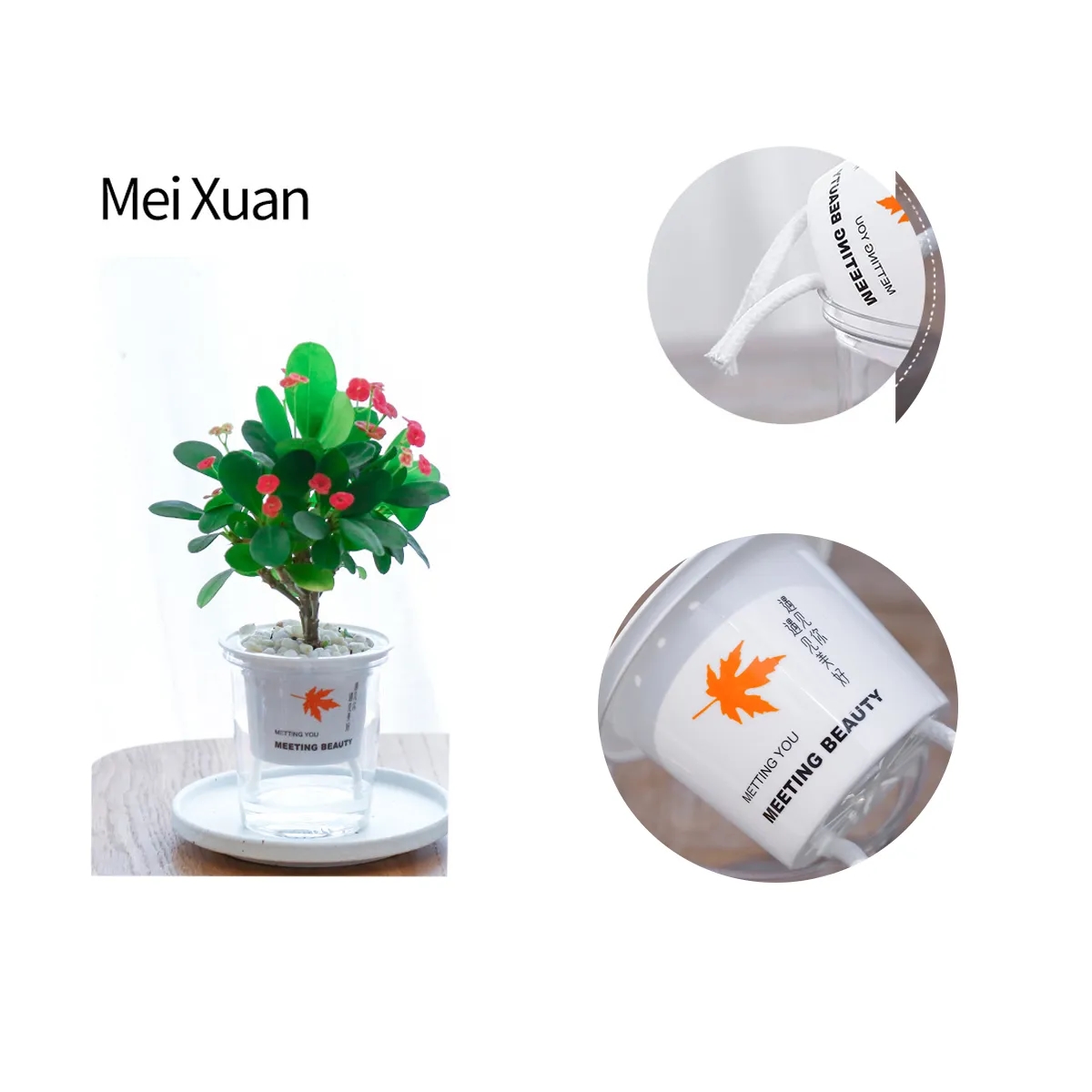 Self Watering Clear Resin Planter With Wick 4
