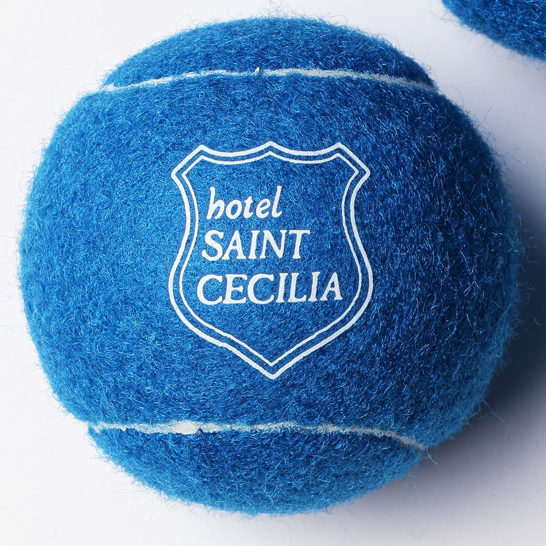 Dia 2 1/2" Pet Tennis Ball 5
