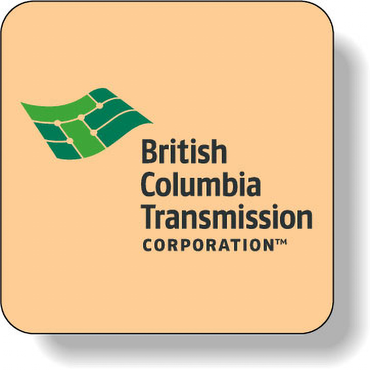 Fluorescent Orange Flexo-Printed Stock Rectangle Roll Labels (1.5"x1.5")