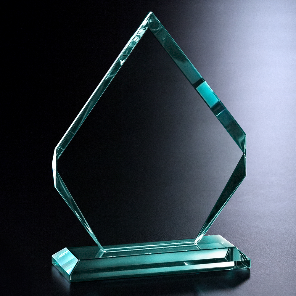 Kingsley Award 7