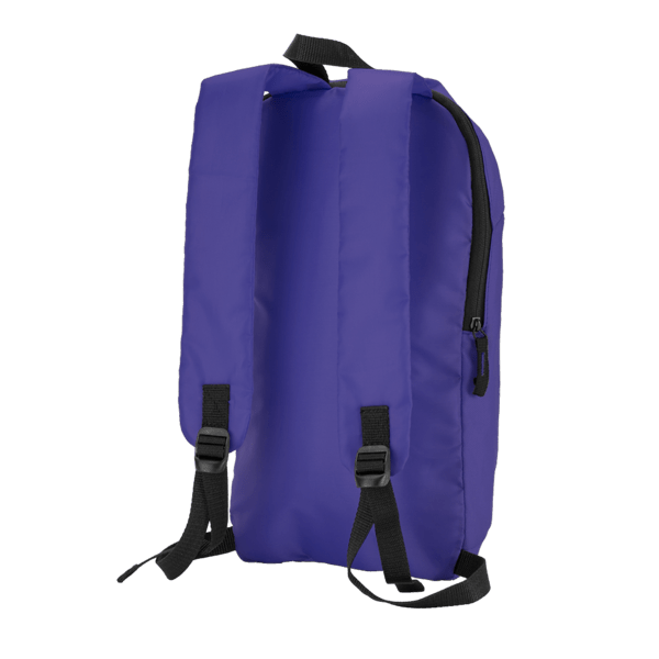 Budget Backpack 54