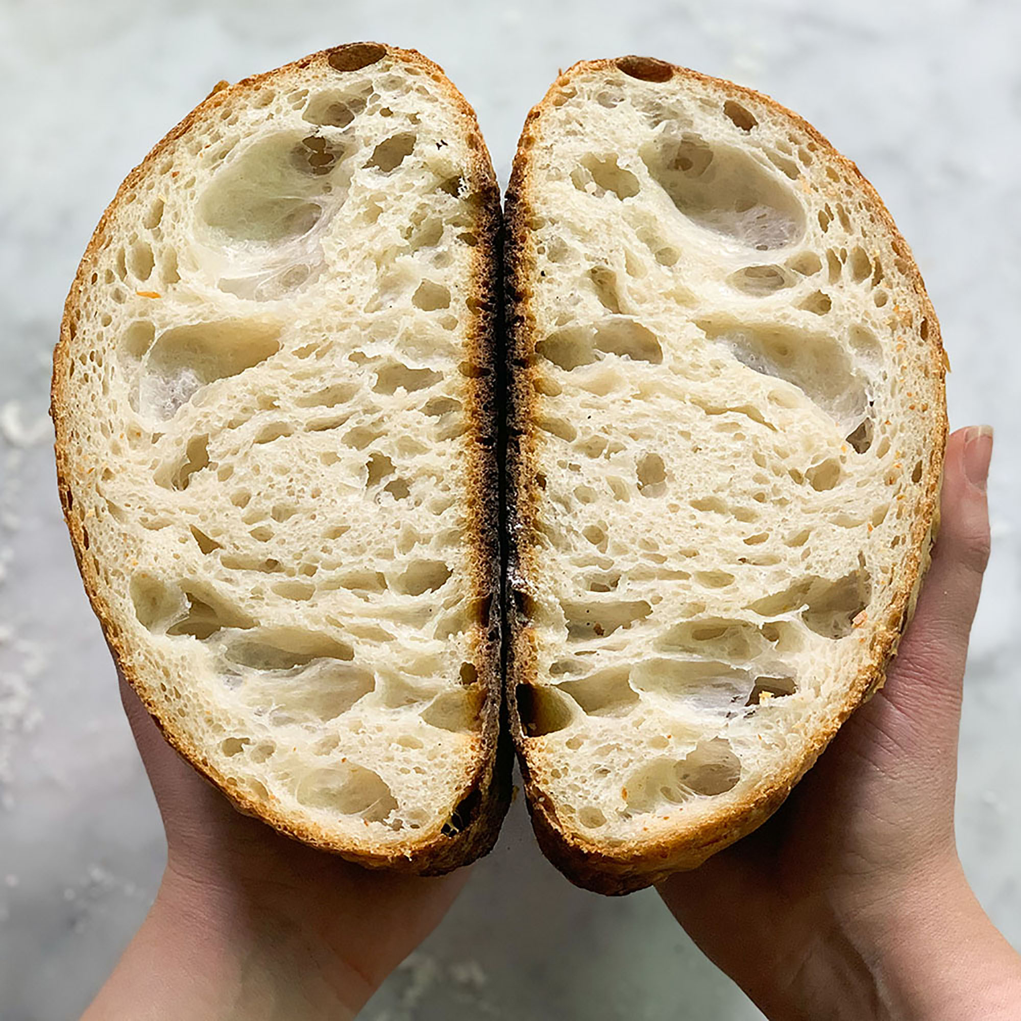 FarmSteady Sourdough Bread Winner Kit 19