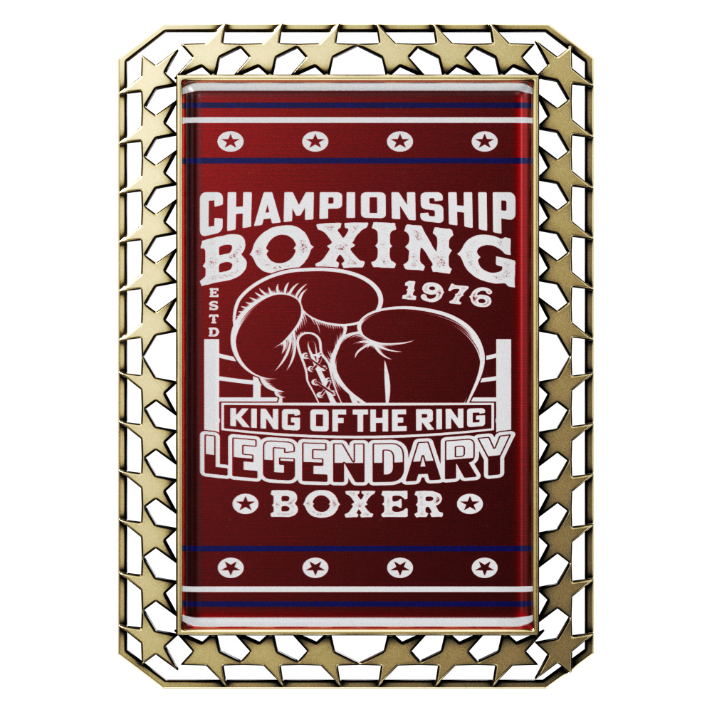 Vibraprint™ Antique Star Border Rectangle Insert Medallion (2-3/4") 4