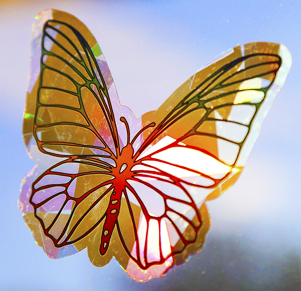 Window Decals - Butterfly Sun Catchers - Holographic Rainbow Window Stickers 8