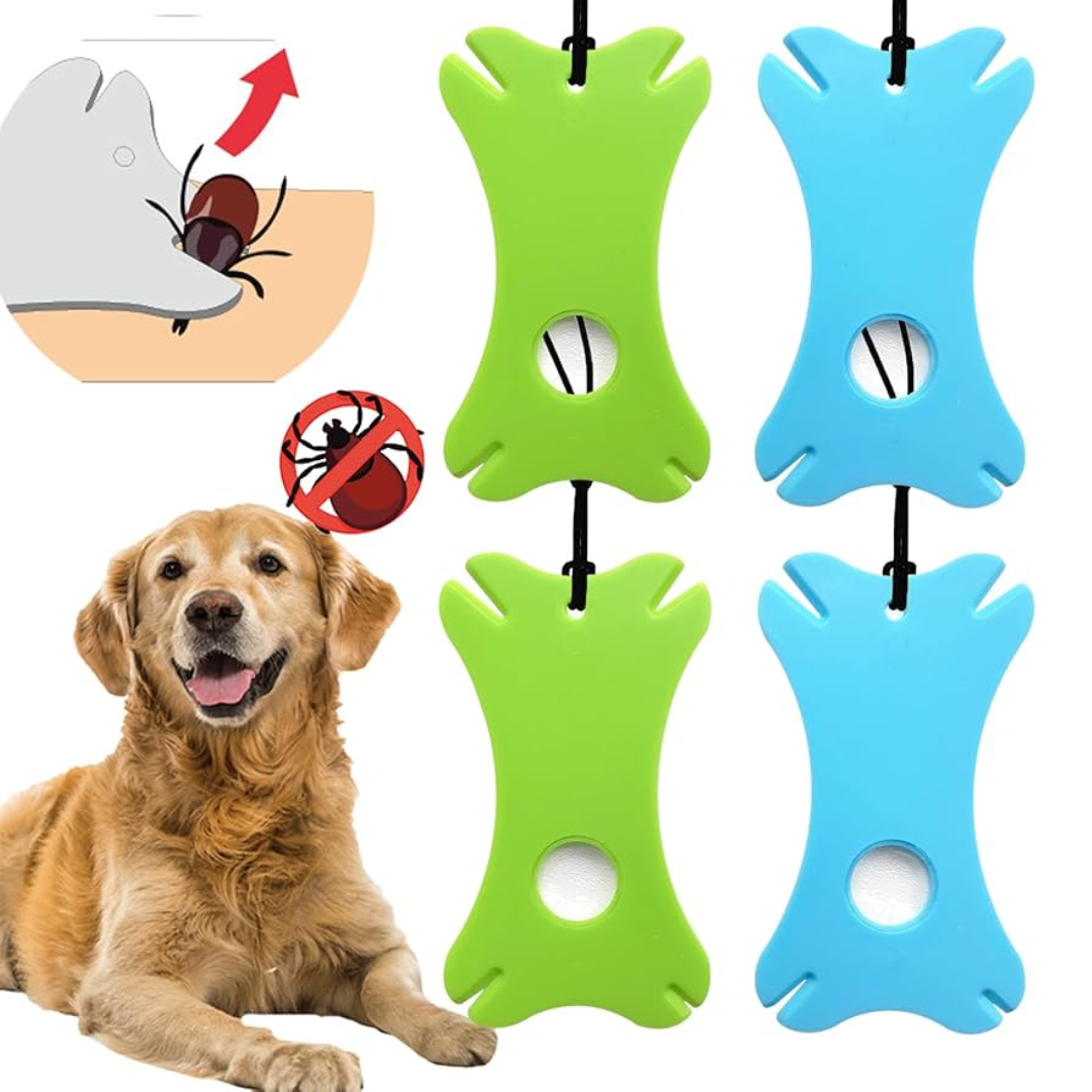 Tick Removal Card with Magnifying Glass 2