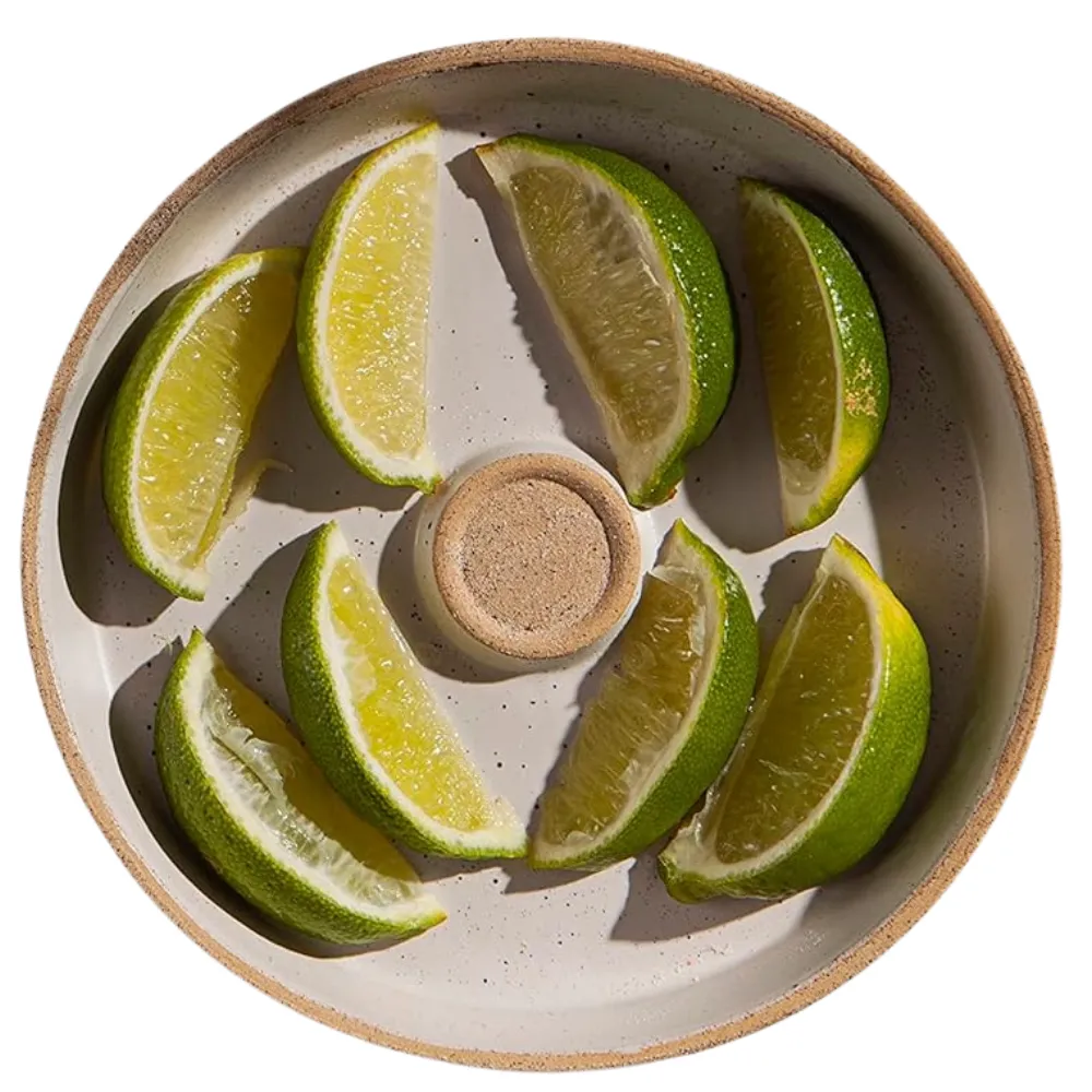 Ceramic Margarita Salt Rimmer Set with Lid 4