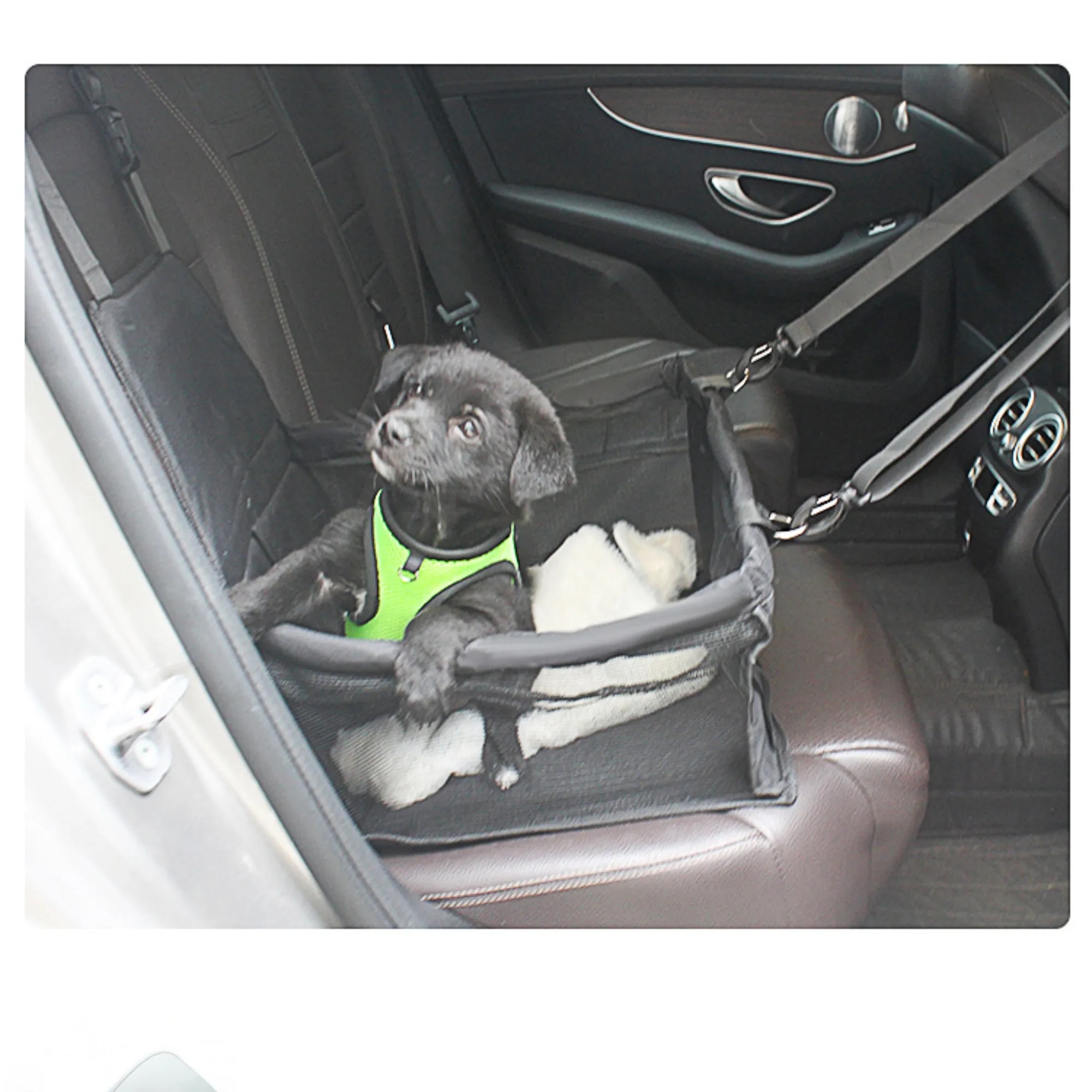 Pet Car Bag for Outside Car Seat 10