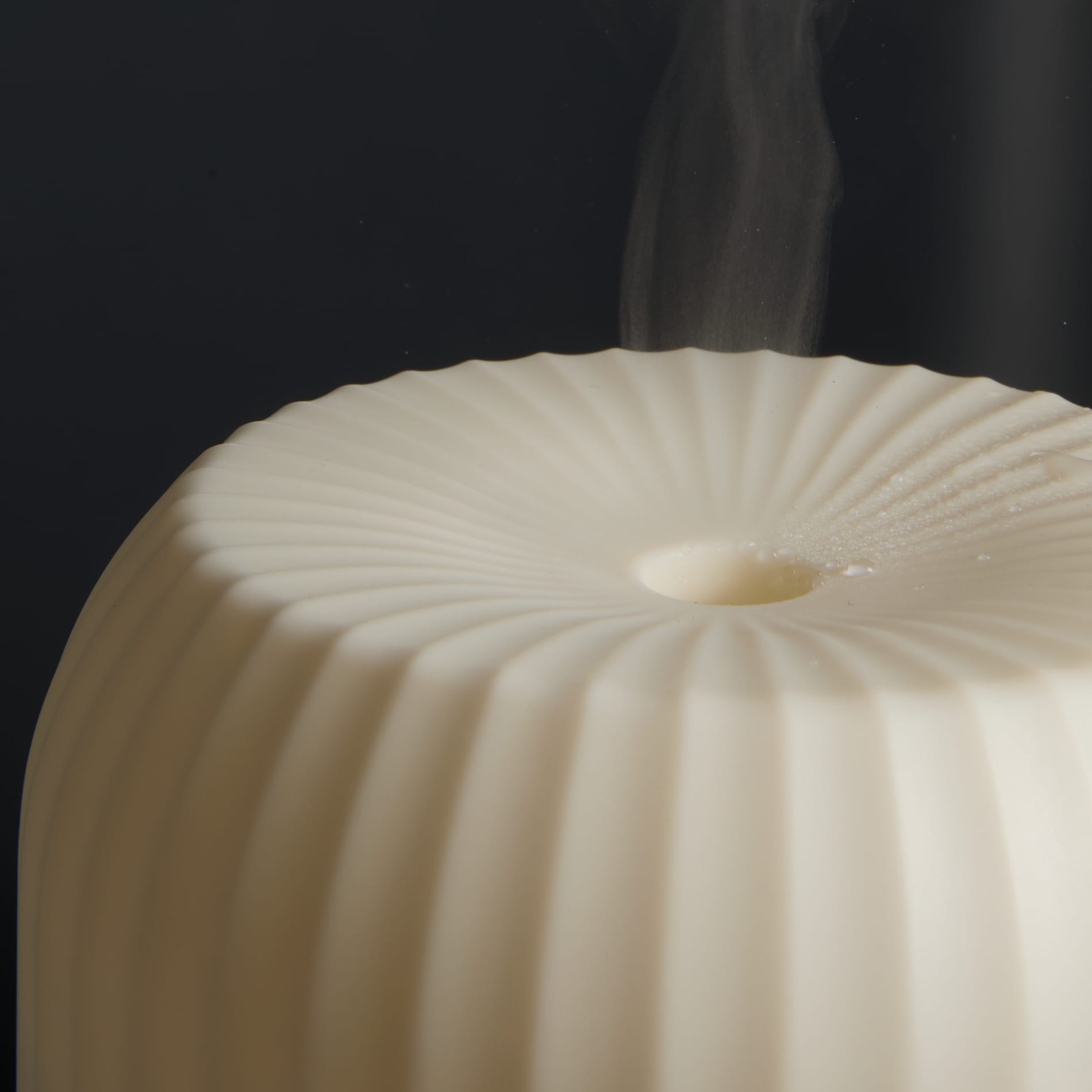 Wellable™ Ambient Light Humidifier 41