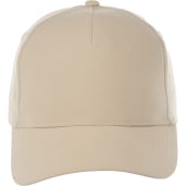 Unisex DOMINATE Ballcap 13