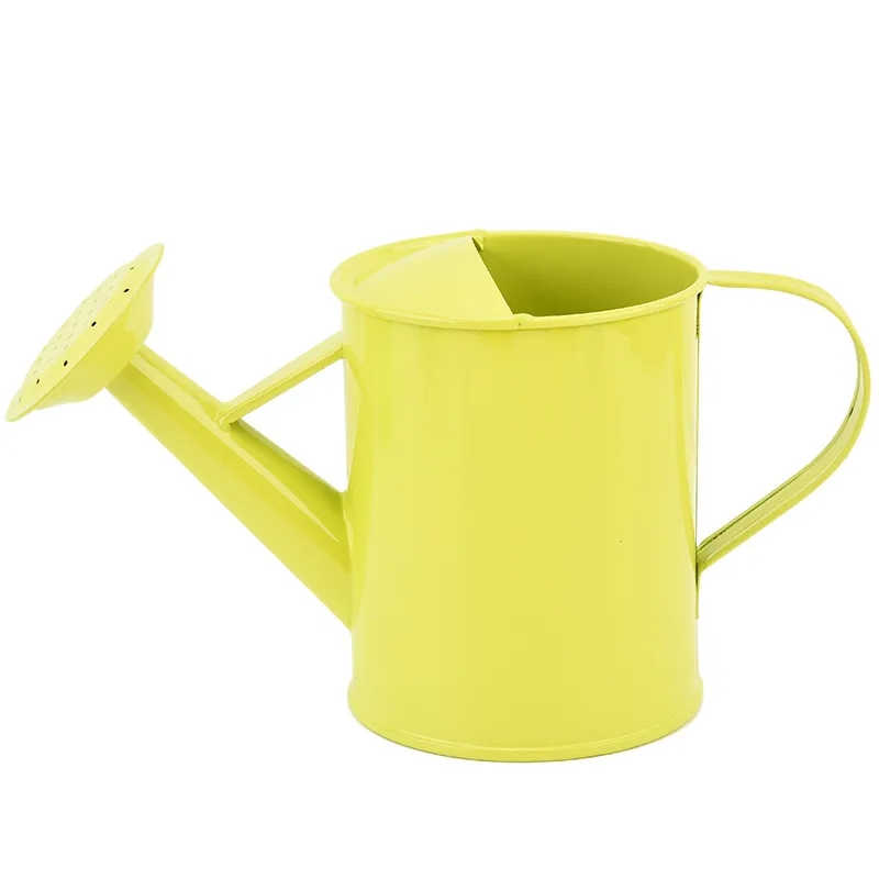 Iron Watering Can 5