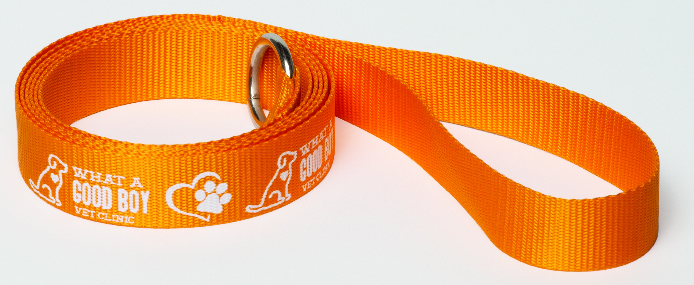 6' Pet Slip Leads